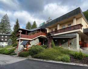 Отель Hotel Arnika  Янске Лазне